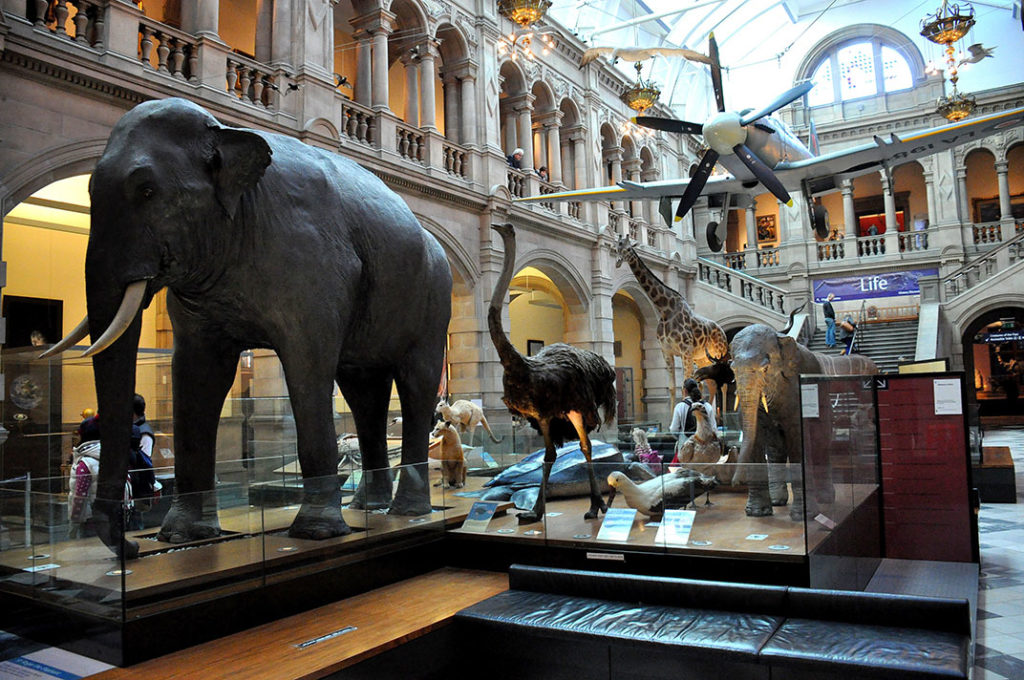 “Kelvingrove
