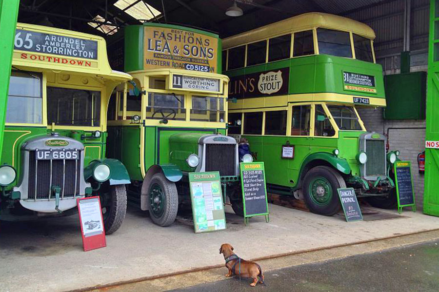 Amberley Museum